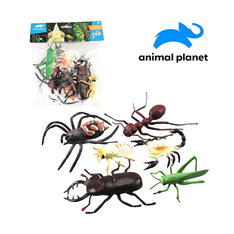 Zvieratká hmyz
