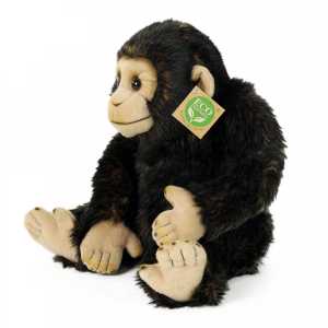 Plyšový šimpanz, Rappa